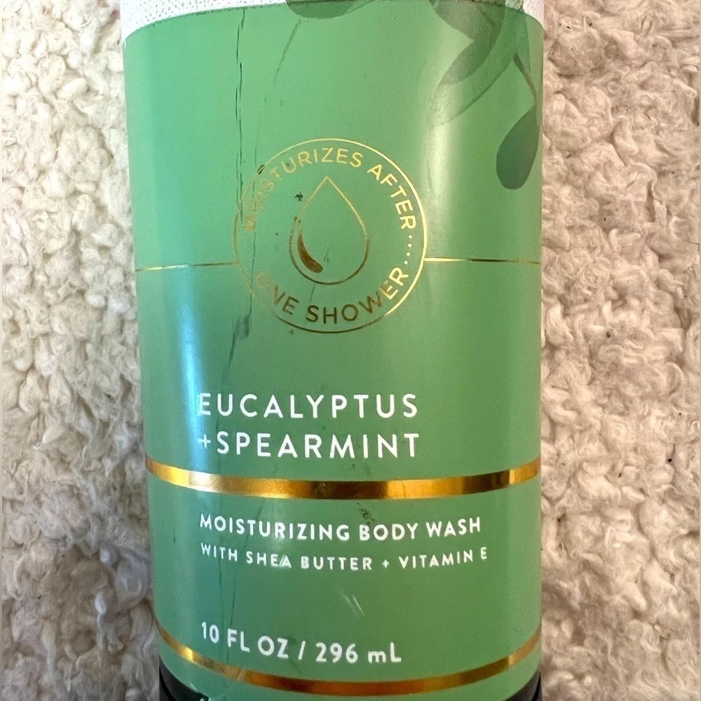 Bath & Body Works Aromatherapy Eucalyptus Spearmint Gift Set of 4 Items